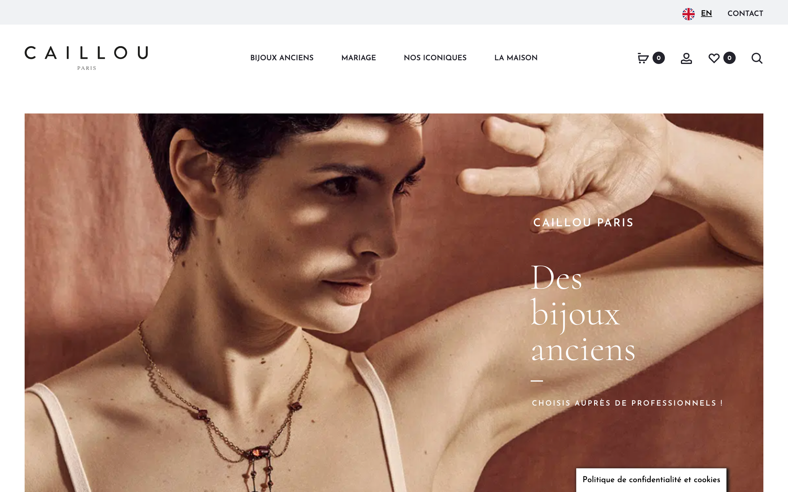 site wordpress caillou paris